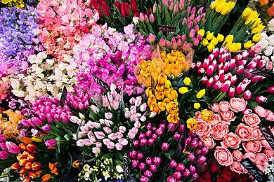 《闪乱忍忍忍者大战海王星》新预告 DLC服装展示